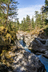 Beautiful river in forest nature Peaceful canadian background.