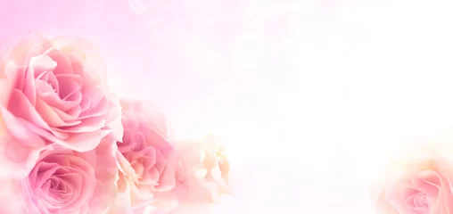 Fototapeten schöner floraler Hintergrund von Rosen © pulia