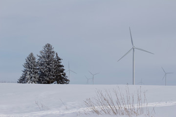 Electric wind turbines on a snowy rural field with evergreen trees in winter
