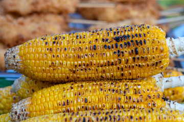 Grilled yellow corn for sale on street food market in Thailand , closeup