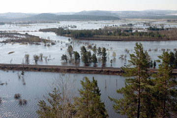 Naklejka premium Overflowing river, flooded fields and forest