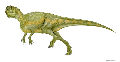 ガソサウルス　ジュラ紀中期に中国大陸に生息していた小型の肉食恐竜。展示されている再現骨格は不完全。本物の頭部は欠落しており、形成的にイラストとして再現するための肉付けに想像力を必要とし、正面を向きかけた頭部をやや下方から仰いだ角度で描いた。属する科についてもまだ定説はない。この獣脚類の発見には中国のガス会社が大きく貢献しており、学名はそのガス会社に因んでいる。全長4メートル。