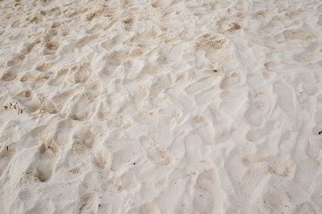 Sand on the beach texture background