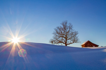 Allgäu - Winter - Stadel - Sonnenuntergang - Baum