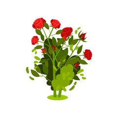 Small Green Bushes photos, royalty-free images, graphics, vectors