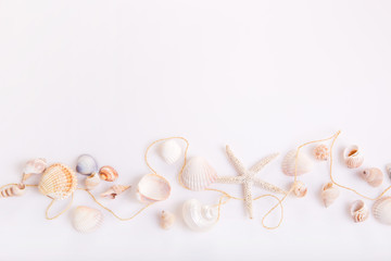 Composition of exotic seashells, oyster, starfish on white background. Tropical summer vacation or Birthday, Wedding Day concept.