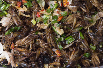 Beetle Salad is in the Cambodian diet