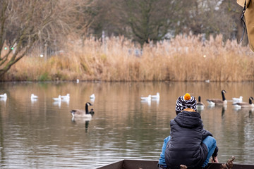 Obraz premium Boy feeding ducks and birds on the city pond