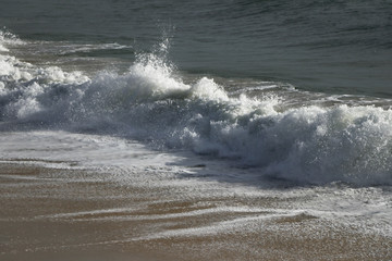 Fototapeta premium shore