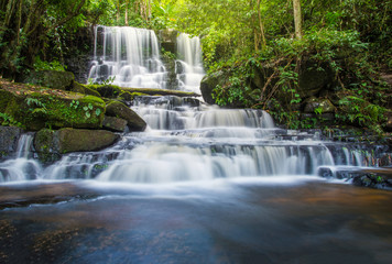 Tropical forest jungle river stream waterfall mountain landscape nature