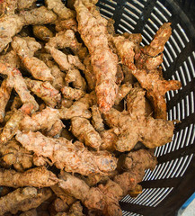 Fresh turmeric root background from nature garden for herbal medicines and for turmeric powder