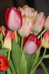 Naklejka premium bouquet of tulips