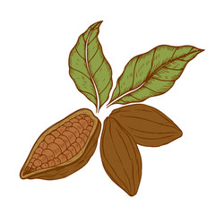 logo cocoa