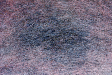 テクスチャ パステルカラー