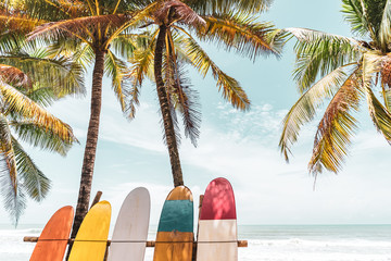 Surfboard and palm tree on beach background. - obrazy, fototapety, plakaty