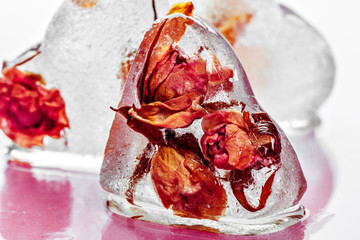 Frozen rose in ice cube