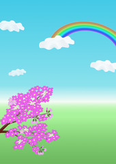 Fototapeta na wymiar 花のある風景・春・桜と菜の花と虹