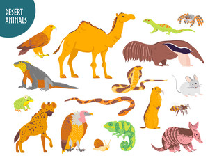 Vector collection of flat hand drawn desert animal, reptiles, insects: camel, snake, lizard isolated on white background. For children book illustration, alphabet, zoo emblems, banners, infographics.