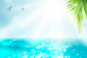 Fototapeta na wymiar Vivid Summer background. Blurred Palm and tropical beach bokeh background. Vacation time.