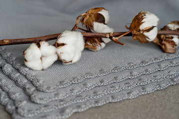 The natural gray plaid trimmed lace. On it lies a branch of cotton. Organic cotton clothing idea.