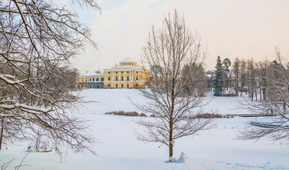 Winter in Pavlovsk park in St. Petersburg