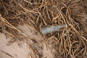 Glass bottle and reeds, garbage on the beach. Environmental pollution. Save the Planet. Ecological problem. Dirty coastline. Nature theme.