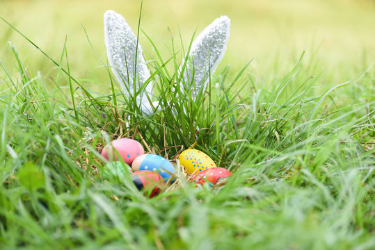 Easter bunny and Easter eggs on green grass outdoor