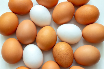 Chicken eggs, top view