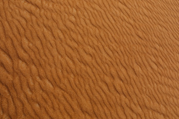  desert texture background - Image