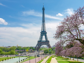 Fototapeta na wymiar Eiffel Tower from Trocadero Square in Paris