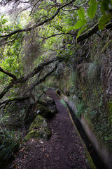 Obraz premium Levada of Madereira