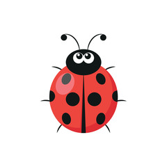 Cute ladybug icon