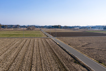 田舎の道路と畑