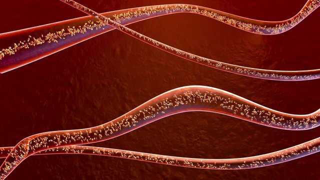 3D rendered Animation of blood cells flowing through arteries or veins.