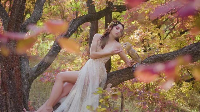 girl with dark curly hair in spring bright green and pink forest in beige dress sits on tree and showing long bare legs, model with barnowl on her arm, white cute bird, fairy nymph playing with chick