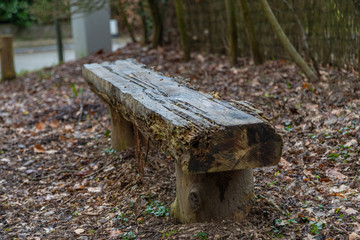 Fototapeta premium Tervuren