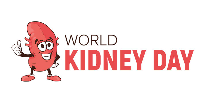 World kidney day vector cartoon human body health organ smiling mascot character illustration isolated on white background Perfect to use for medical awareness poster design or company logo template