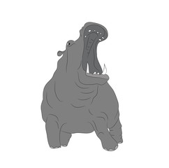 Hippopotamus stands drawing color, vector