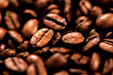 Coffee beans , close up photo