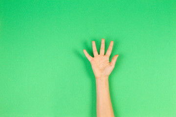 Kid hand palm or showing five fingers on green background