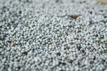 texture de grains de poivre blanc en gros plan