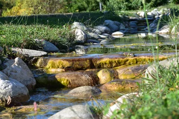 Poster de jardin  Paysage  © hugo