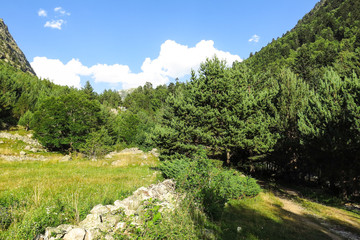 Fototapeta na wymiar Aigüestortes National Park in the Catalan Pyrenees, Spain