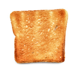 Slice of toasted bread on white background