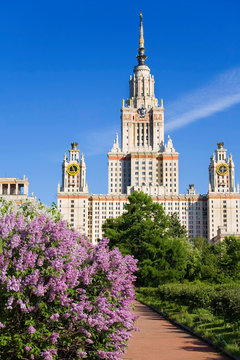 View of the main building of Moscow state University on a sunny spring day with the blooming lilac bushes, Moscow, Russia