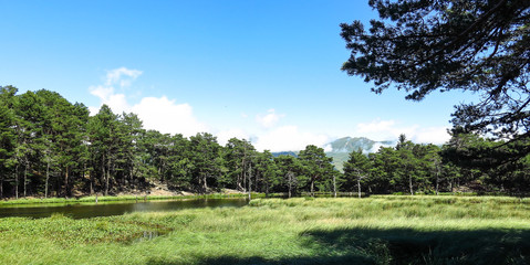 Obraz premium Aran valley in the Catalan Pyrenees, Spain