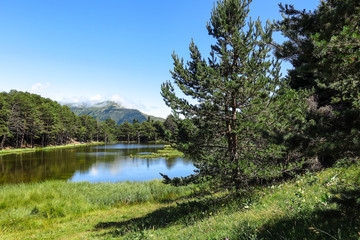 Aran valley in the Catalan Pyrenees, Spain