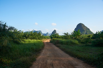 Scene of the road and green trees on countryside