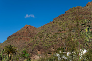 Fototapeta na wymiar Canary islands gran canaria sunny day outdoor
