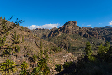 Canary islands gran canaria sunny day outdoor